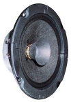 BG 13P - 8 Ohm