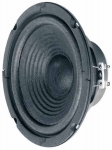 W170 - 8 ohm
